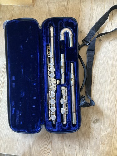Flute musical instrument - flute,
