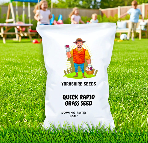 Rapid growing grass seed - growing,