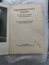 			The Border Fancy Canary -