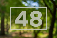 CUSTOM FROSTED ETCHED GLASS