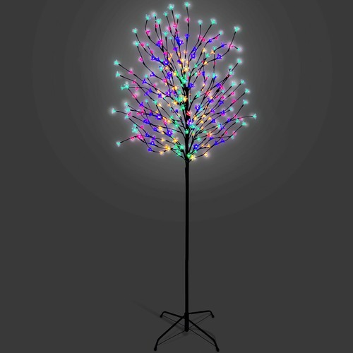 Cherry blossom tree - cherry,