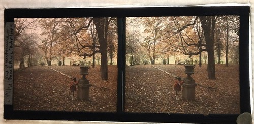 Autochrome parc stereo view - le,