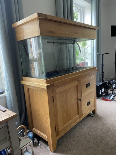 240 litre aquarium - 240,