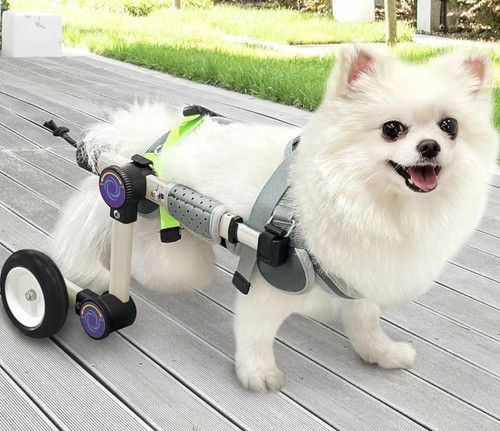 Letpetrun dog wheelchair - letpetrun,