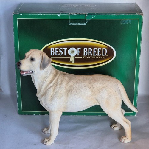 Best breed large yellow - large,