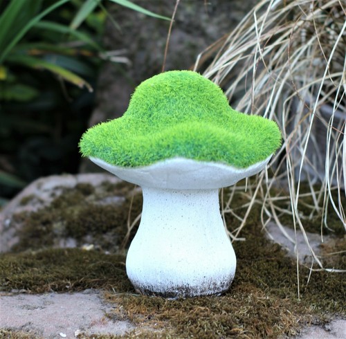 Garden ornament toadstool - ornament,