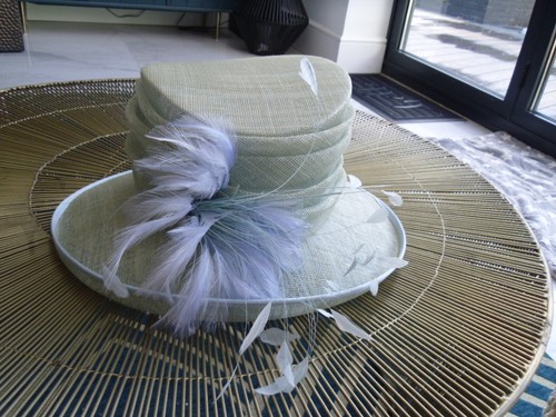 Smart ladies feather detail - feather,