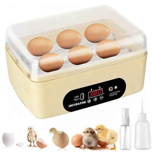 Mini eggs incubator - mini,