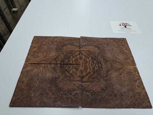 Burr walnut veneer - burr,