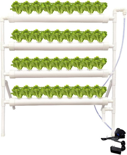 Pod hydroponic plant - hydroponic,