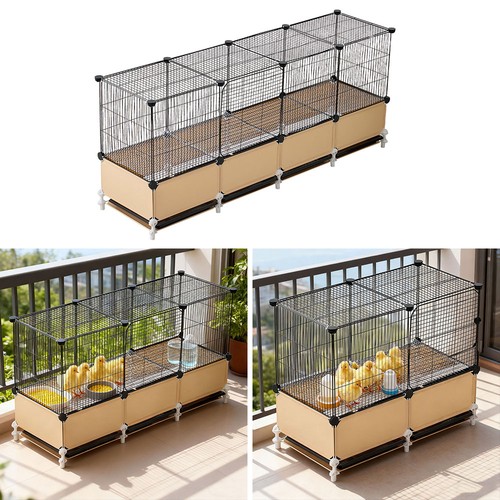 Large chicken run - chicken, in