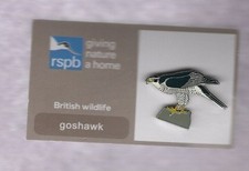 RSPB Pin Badge - Goshawk -