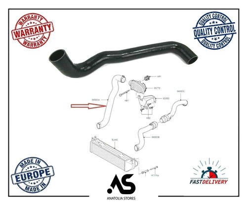 Intercooler pipe turbo - intercooler, hose