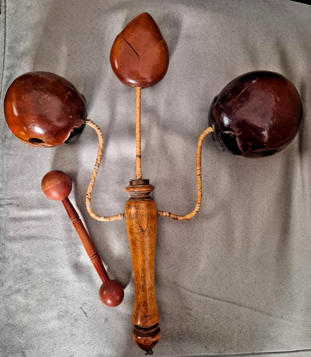 Vietnamese lotus clacker - vietnamese,
