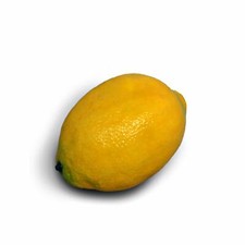 Artificial Lemon Citrus Realistic Fake Fruit Retail Shop Food Prop (FF4)