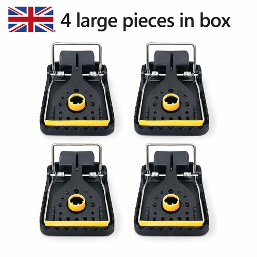 Large pack rat - pack, traps