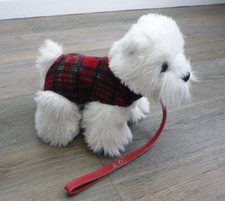 Westie West Highland Terrier