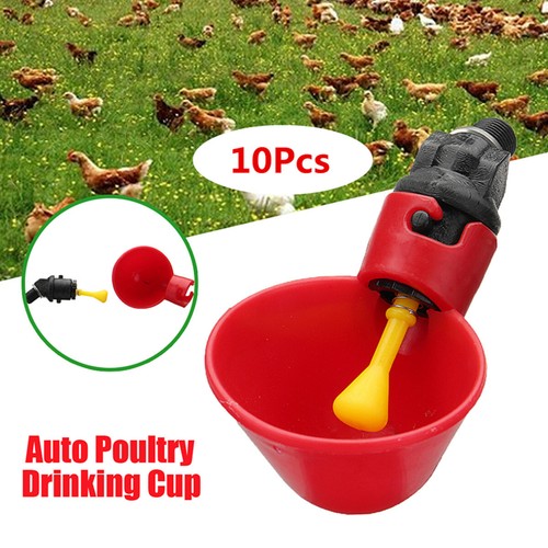 10x poultry water drinking - 10x,