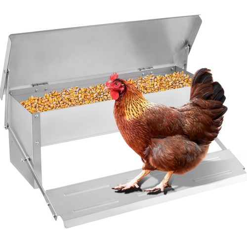 Chicken feeder automatic 11lbs - chicken,