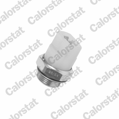Temperature switch radiator - switch,,