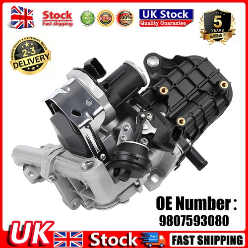Egr valve cooler module - &,
