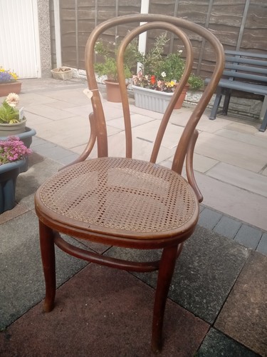 Antique cane bentwood chair - bentwood,