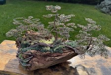 Bonsai raft style wire