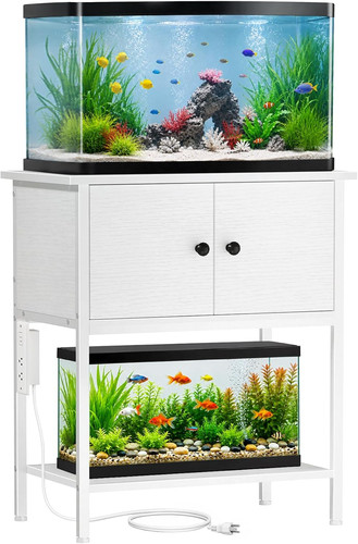 Gallon fish tank - fish,