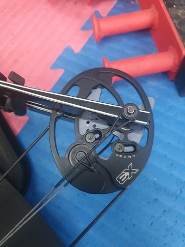 Hoyt with modules 65 - hoyt, 65%