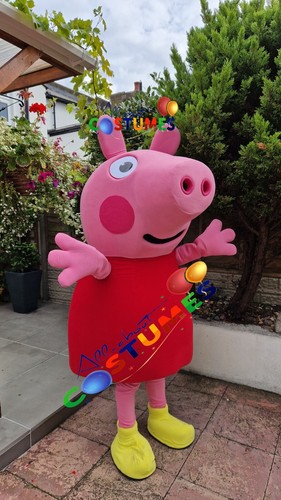 Hire peppa pig - hire,
