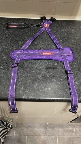 Ezydog purple dog harness - harness, +
