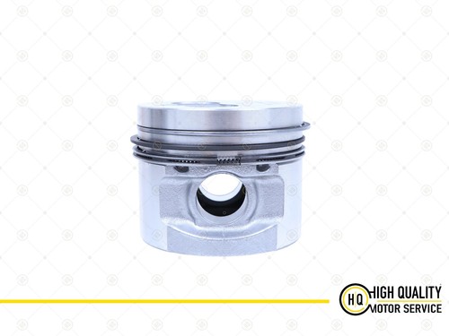 Piston with ring for - piston,