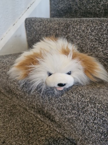 Tiger toys scamps the - the, dog