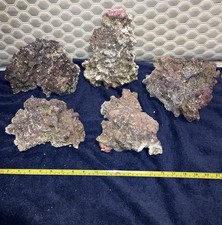 RRR1 - 12KG Real Reef Dry Live Rock For Marine saltwater Fish Tank - 5 pieces