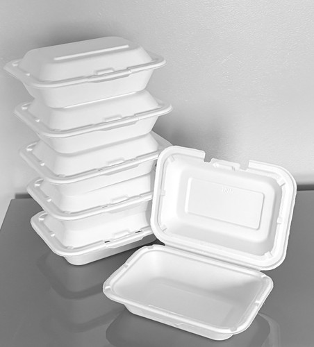 Eco takeaway boxes - takeaway, 250