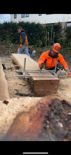 Mobile chainsaw alaskan - chainsaw,