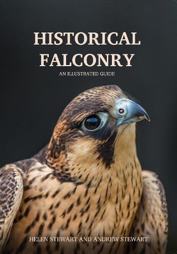 Historical falconry helen - by,