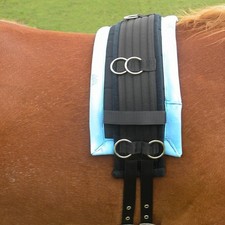 PolyPads Lunge Roller Pad For