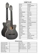 Guitar By Tanglewood, Model