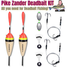 Dead Bait Pike Zander Perch