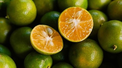 Live calamansi - (filipino, lime)