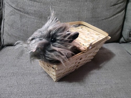 The wizard toto in - wizard, oz