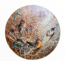 Coalport Collectors Decorative