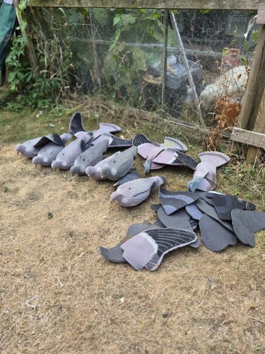 Pigeon decoys camo netting - decoys, &