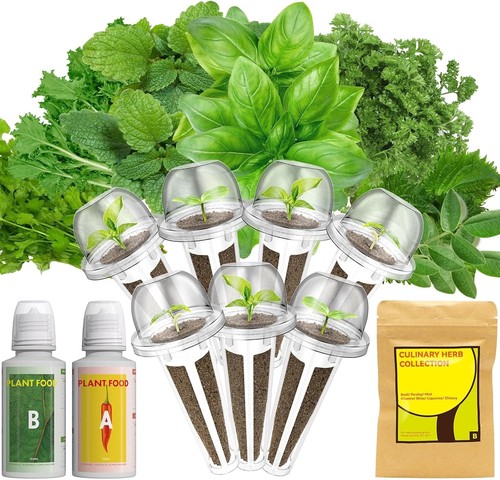 Gourmet herb seed pod - gourmet,
