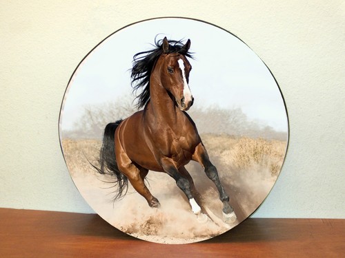 Phorse1 spare wheel - phorse1, cover