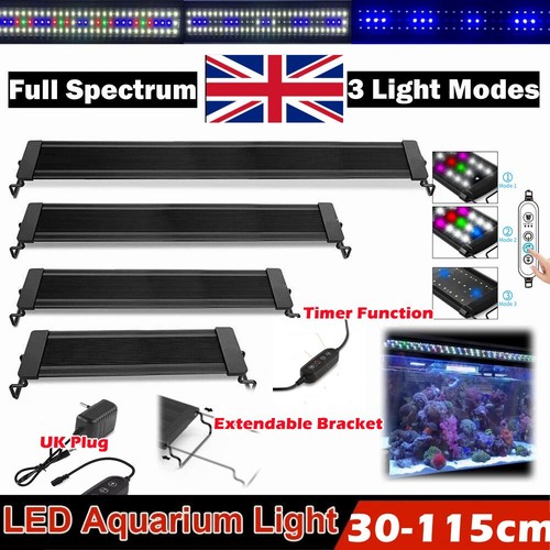 Aquarium fish tank - fish, led
