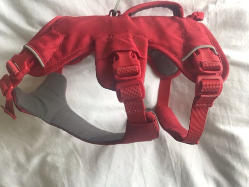 Ruffwear webmaster dog - ruffwear,