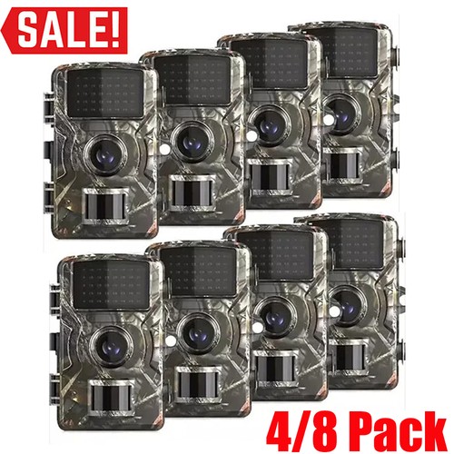 Pack wildlife hunting - pack,