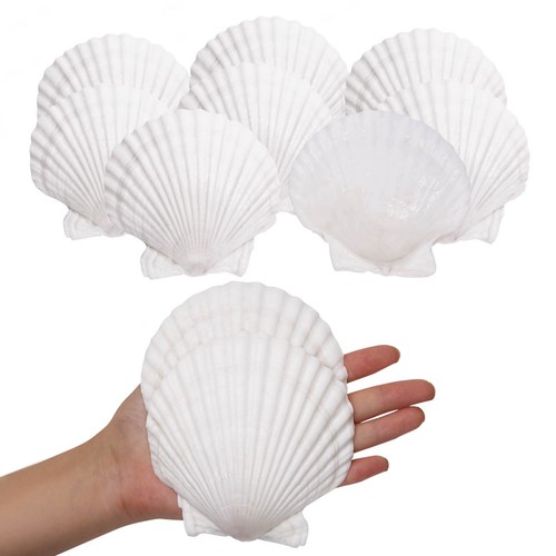 Large natural white - 45",